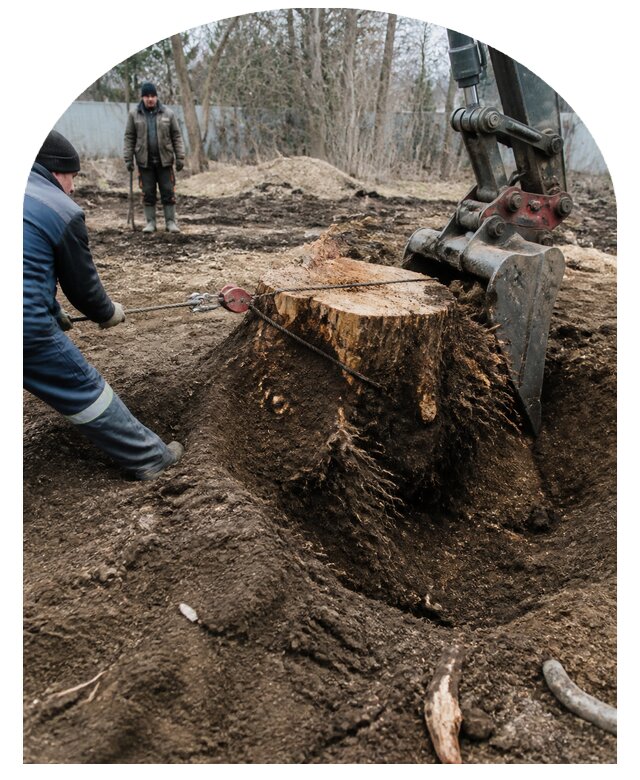 Удаление пней на участке и корней в Полысаеве под ключ